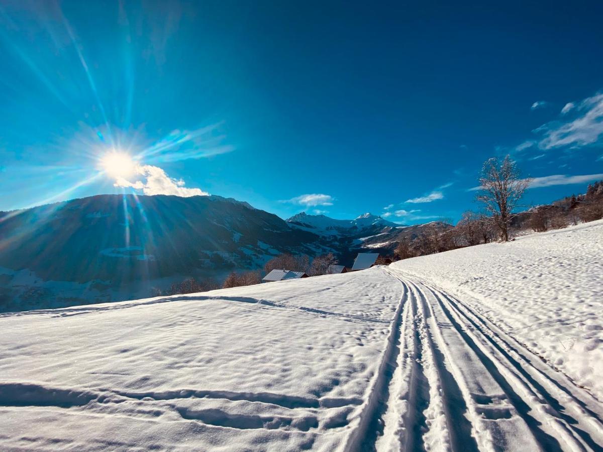 Chalet Confidentiel Valmorel - Chalet De Haut De Gamme 4 Etoiles 12 Personnes Doucy Kültér fotó
