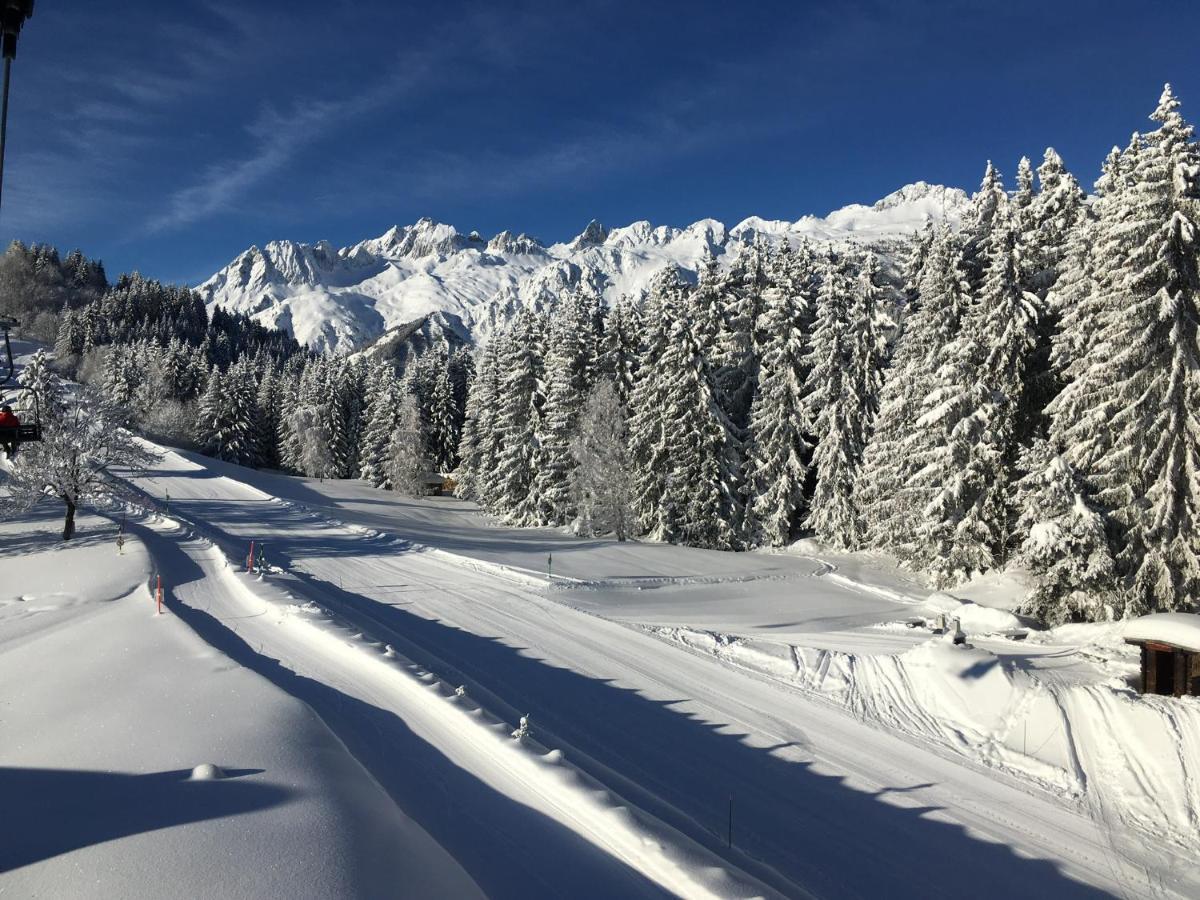 Chalet Confidentiel Valmorel - Chalet De Haut De Gamme 4 Etoiles 12 Personnes Doucy Kültér fotó