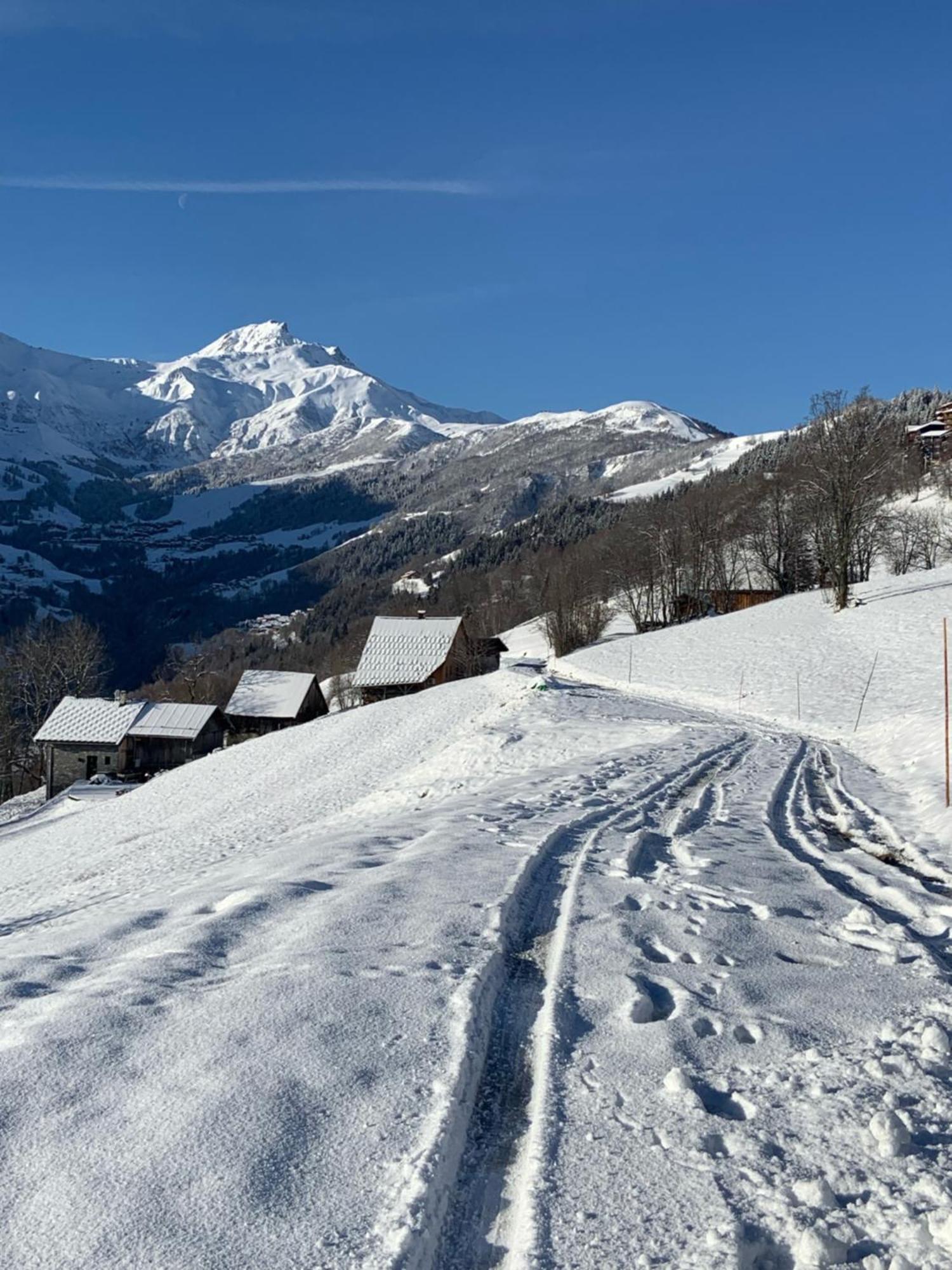 Chalet Confidentiel Valmorel - Chalet De Haut De Gamme 4 Etoiles 12 Personnes Doucy Kültér fotó
