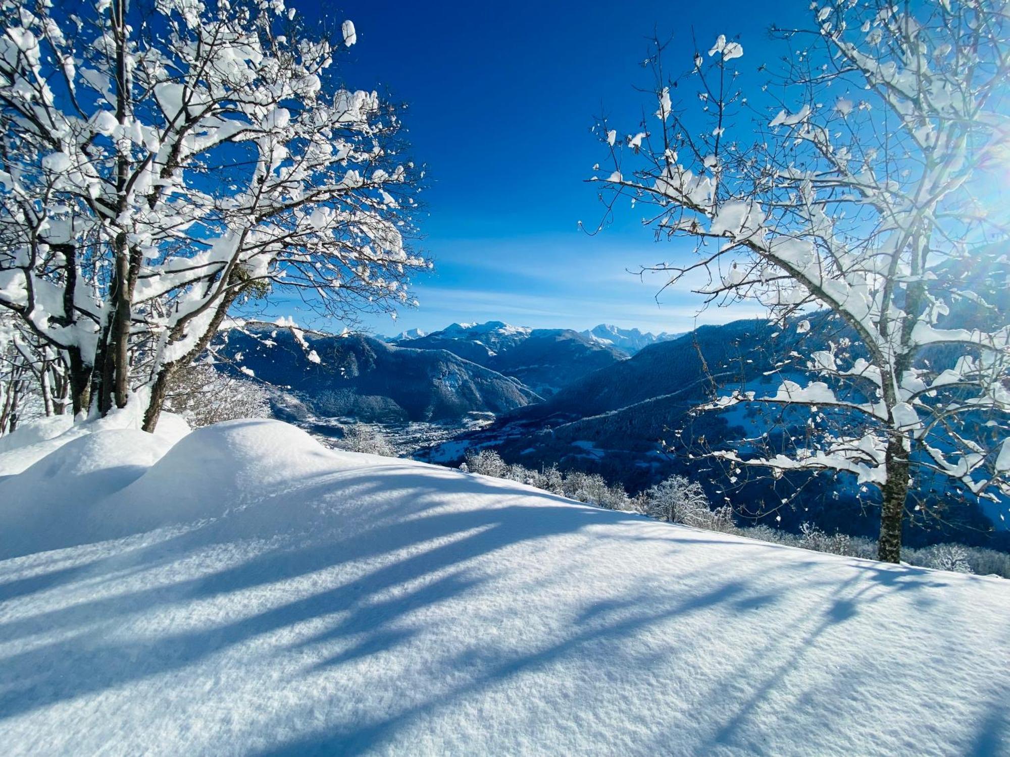 Chalet Confidentiel Valmorel - Chalet De Haut De Gamme 4 Etoiles 12 Personnes Doucy Kültér fotó